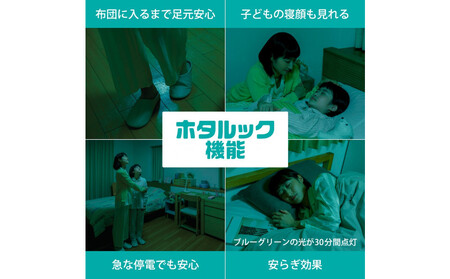 ホタルクス LEDシーリングライト（～6畳） HLDZ06403SG