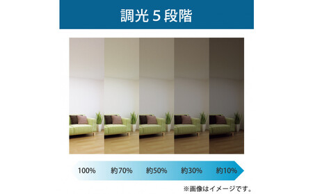 ホタルクス LEDシーリングライト（～8畳） HLDZ08403SG