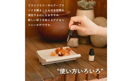 [HIJICA]Arch Tray ホワイト　HJC-13WT