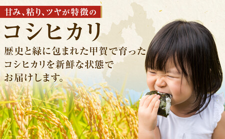 【令和7年産】近江米コシヒカリ白米5kg