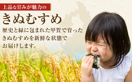 【令和7年産】近江米きぬむすめ白米5kg