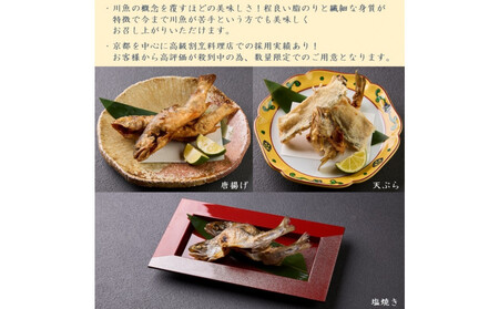 甲賀びわます “ささゆり”　塩焼きサイズ 5尾入り×2パック