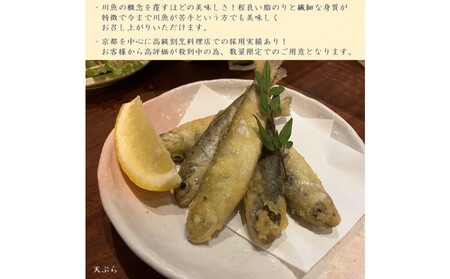 甲賀びわます “ささゆり”　 天ぷらサイズ 5尾入り×4パック