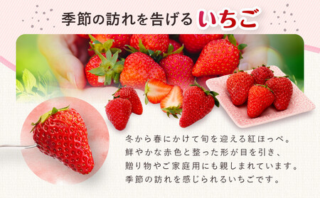 いちご　紅ほっぺ　約1kg（250g×4パック）