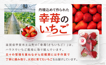 いちご　紅ほっぺ　約1kg（250g×4パック）