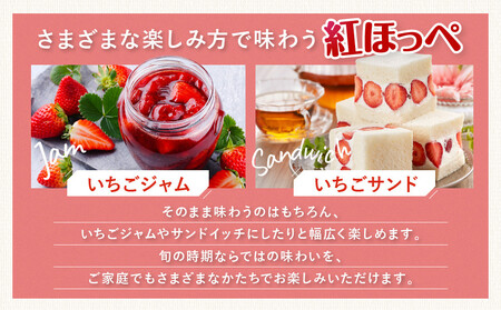 いちご 紅ほっぺ 訳アリ1kg(250g×4パック)