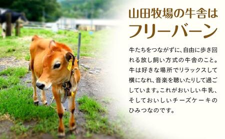 山田牧場 贅沢チーズケーキ