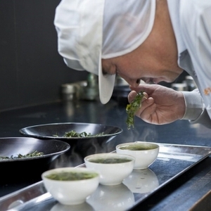 滋賀県産 【はね出し玉露の茎茶】 100g×5 合計約166杯分