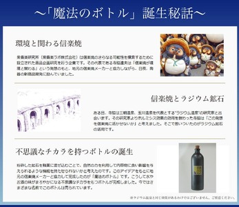 信楽焼 魔法のボトル 飴釉（予備コルク付）