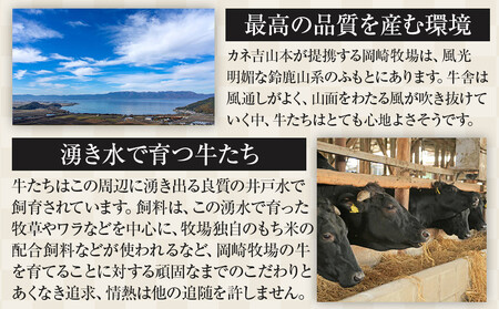 【カネ吉山本】近江牛　A4等級以上　すき焼き用　[リブロース]　（500ｇ） 【近江牛】