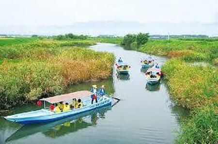 近江名産「鮒寿司」ふなずし 漁師直漬け 2本入り