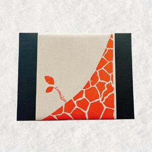 ビワコノメグミ 芋けんぴ 9個入りギフトセット