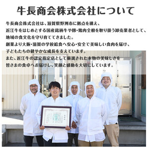 近江牛 切り落とし 500g すき焼き・煮物 【近江牛】