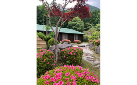 近江富士花緑公園ふるさと館、ロッジ共通ご宿泊券 3,000円分