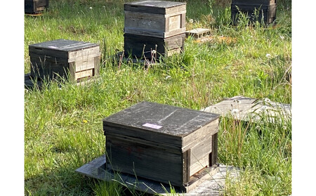 南農園　国産天然はちみつ1KG（非加熱）