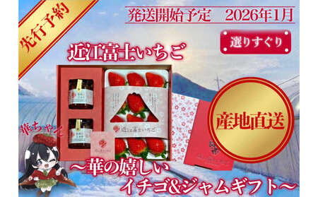 先行予約『近江富士いちご』選りすぐり!華の嬉しいイチゴ&ジャムセット【イチゴ9~15粒1トレイ ジャム2瓶】