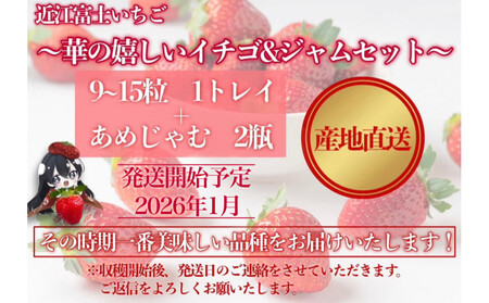 先行予約『近江富士いちご』選りすぐり!華の嬉しいイチゴ&ジャムセット【イチゴ9~15粒1トレイ ジャム2瓶】