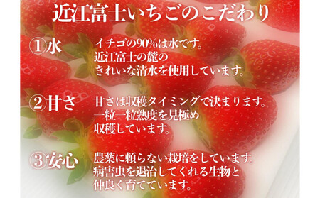 先行予約『近江富士いちご』選りすぐり!華の嬉しいイチゴ&ジャムセット【イチゴ9~15粒1トレイ ジャム2瓶】