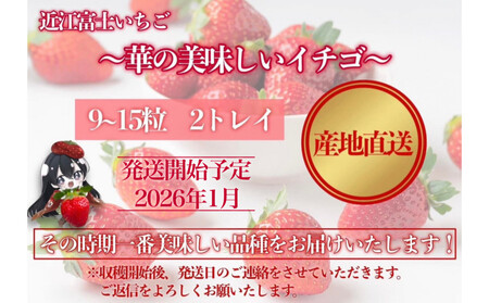『近江富士いちご』選りすぐり！華の美味しいイチゴ【9～15粒2トレイ】