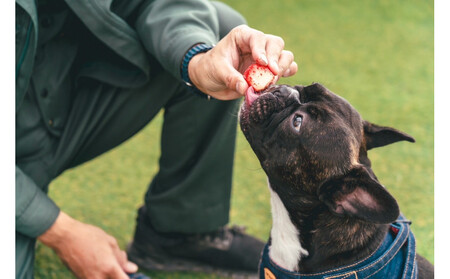 スイーツ作り付き90分いちご狩り食べ放題体験チケット