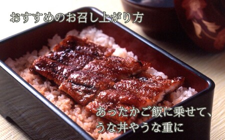 【B-809】近江今津 西友 うなぎ炭火焼蒲焼 2尾／計約270ｇ［高島屋選定品］