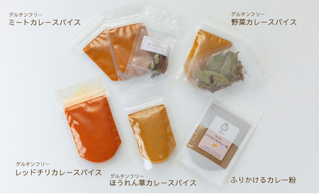 【G-105】Lien 生ドレッシング3種・ブレンドソルト5種・カレースパイス5種セット【高島屋選定品】