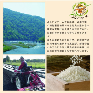 【C-546】【令和7年産　新米】よこいファーム 特別栽培米コシヒカリＡ　10kg（5kg×2） ［高島屋選定品］