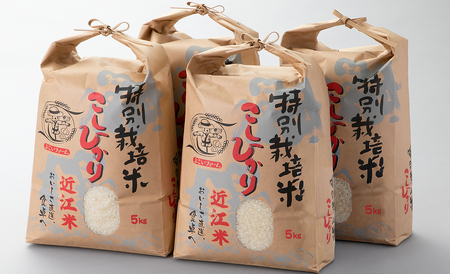 【C-547】【令和7年産　新米】よこいファーム 特別栽培米コシヒカリＢ　20kg（5kg×4） ［高島屋選定品］