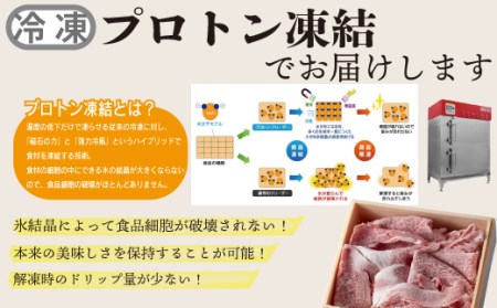 【A-355】宝牧場 近江牛 ロース スライス切り落とし 500ｇ ［高島屋選定品］