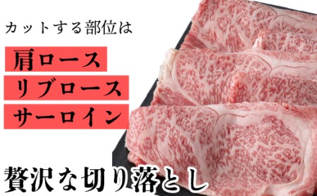 【A-355】宝牧場 近江牛 ロース スライス切り落とし 500ｇ ［高島屋選定品］