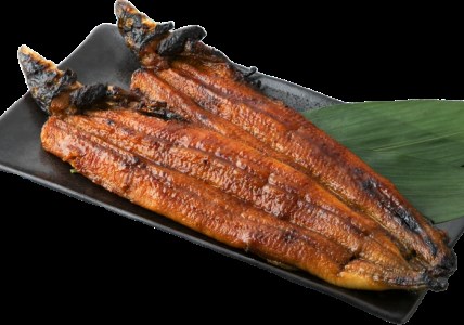 のし・包装対応可【B-7501】近江高島鮎池元 吉本 鰻蒲焼２尾 ［高島屋選定品］