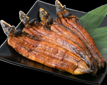 のし・包装対応可【B-7521】近江高島鮎池元 吉本 活鰻炭火蒲焼4尾【高島屋選定品】