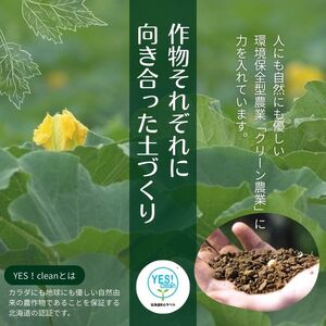 【NHKあさイチで紹介されました!】上田ファームのかぼちゃ団子(あんこ)300g×3 北海道産かぼちゃ使用 カボチャ だんご 国産 手作り おかず おやつ スイーツ 軽食 冷凍 南瓜 郷土料理 北海道 苫前町 とままえ ued04