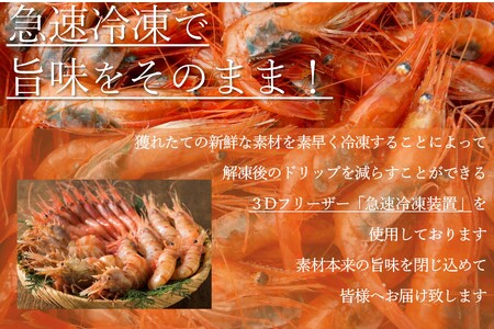 【急速冷凍】北海道苫前産甘エビ小　500g×2《数量限定》（えび・海老・ボタン・シマ・イバラ・正月・海鮮・魚介類・北海道・刺身・生・ボイル・小分け・３D冷凍）