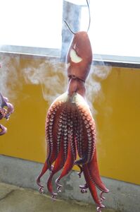 【北海道苫前産】煮タコ（頭のみ）　1.5㎏前後（たこ・蛸・道産・正月・おせち・刺身・焼き・つまみ・肴・茹で・ボイル・カルパッチョ・冷凍）