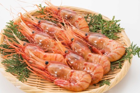 【急速冷凍】北海道苫前産ボタンエビ 500g×2《数量限定》(えび・海老・シマ・甘・イバラ・正月・海鮮・魚介類・北海道・刺身・生・ボイル・小分け・3D冷凍)