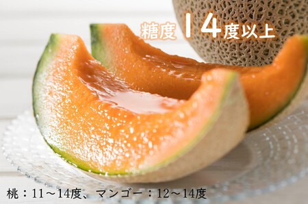 【令和6年産先行受付】とままえメロン　2玉（先行予約　北海道産　赤肉　糖度14度　甘い　フルーツ　果物　デザート　送料無料）