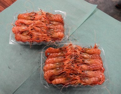 【急速冷凍】北海道苫前産シマエビ 500g✕2《数量限定》