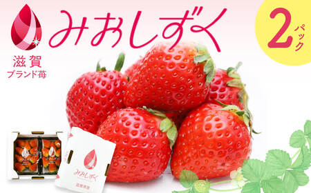 いちご (みおしずく) 1箱(2パック入り) 株式会社東近江あぐりステーション 滋賀県 東近江市 O-F03 いちご イチゴ みおしずく 2パック フルーツ 産地直送 ギフト