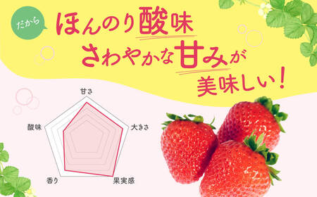 いちご (みおしずく) 1箱(2パック入り) 株式会社東近江あぐりステーション 滋賀県 東近江市 O-F03 いちご イチゴ みおしずく 2パック フルーツ 産地直送 ギフト