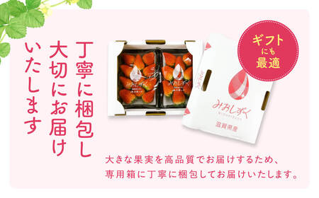 いちご (みおしずく) 1箱(2パック入り) 株式会社東近江あぐりステーション 滋賀県 東近江市 O-F03 いちご イチゴ みおしずく 2パック フルーツ 産地直送 ギフト