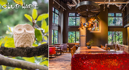 ショコラバームmini 6個入 クラブハリエ八日市の杜 滋賀県 東近江市 A-C20 スイーツ チョコ チョコレート バームクーヘン 焼き菓子 お取り寄せ 絶品 人気 ギフト プレゼント お菓子