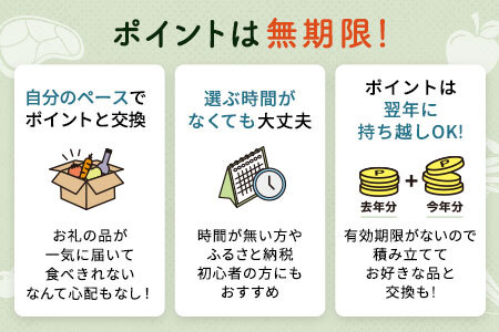 【有効期限なし！後からゆっくり特産品を選べる】滋賀県東近江市カタログポイント