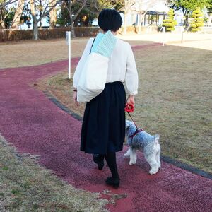 高反発ブレスエアー製 おでかけドッグカフェマット Mサイズ 近江化成工業株式会社 滋賀県 東近江市 D-E21 犬用 ペットマット クッション 洗える 抗菌 防臭 蒸れない 持ち運び カフェ お出かけ 旅行 ドライブ アウトドア