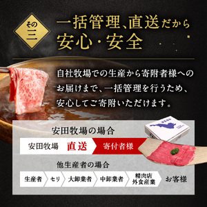 しゃぶしゃぶセット（しゃぶしゃぶ用肉、ポン酢、ごまだれ、お米） 安田牧場 滋賀県 東近江市 C-B09 しゃぶしゃぶ しゃぶしゃぶセット ポン酢 ごまだれ 米 近江牛 安田牧場 ブランド牛 滋賀県産 和牛 牛肉 霜降り お取り寄せ 贈答品 ギフト 高級肉