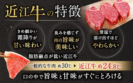 厳選フィレステーキ 150g×3 安田牧場 滋賀県 東近江市 H07 近江牛 フィレステーキ ヒレ ステーキ 和牛 国産牛 ブランド牛 厳選 赤身 ギフト 贈答