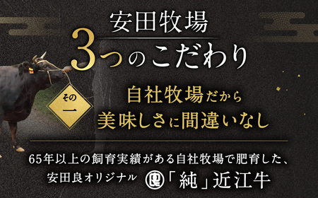 厳選フィレステーキ 150g×3 安田牧場 滋賀県 東近江市 H07 近江牛 フィレステーキ ヒレ ステーキ 和牛 国産牛 ブランド牛 厳選 赤身 ギフト 贈答