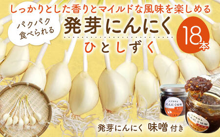 発芽にんにく6本入り3袋+発芽にんにく味噌 甘口・ピリ辛 140g1瓶ずつ 株式会社藤田電気工業(藤田農園) 滋賀県 東近江市 O-H15 発芽にんにく ひとしずく スプラウト にんにく 味噌 健康 美容 野菜 素揚げ 天ぷら ご飯のおとも ギフト プレゼント
