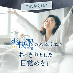 高反発寝具ブレスエアーR製敷布団「ロイヤル」ワイドダブルサイズ 近江化成工業株式会社 滋賀県 東近江市 BA04 マットレス 敷き布団 洗える 蒸れない 通気性 体圧分散 寝返り 腰痛対策 睡眠 快眠