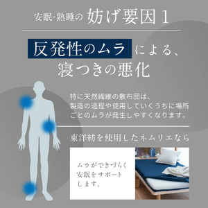 高反発寝具ブレスエアーR製敷布団「プレミア」キングサイズ 近江化成工業株式会社 滋賀県 東近江市 CC02 マットレス 敷き布団 厚み10cm 洗える 蒸れない 通気性 体圧分散 寝返り 腰痛対策 睡眠 快眠